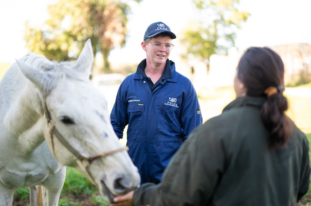 Prime Livestock Veterinary Services | 2 Parwanoff St, Mansfield VIC 3722, Australia | Phone: 0447 496 428