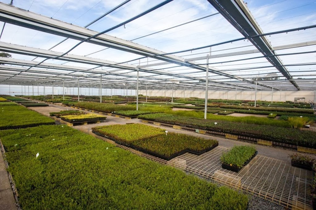 Mansfield Propagation Nursery | 150 Taylors Rd, Skye VIC 3977, Australia | Phone: (03) 9782 2404