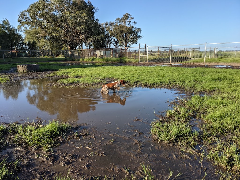 Marlee Country Kennels | 4814 Jalbarragup Rd, Kalgup WA 6280, Australia | Phone: (08) 9753 1351