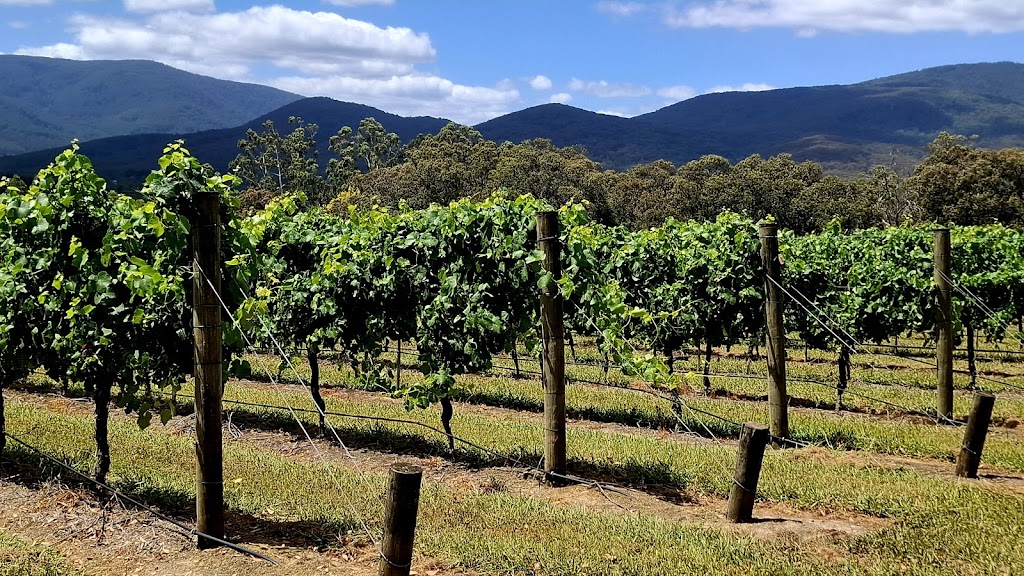 Mandala Wines | 108 Little Yarra Rd, Yarra Junction VIC 3797, Australia | Phone: 0409 809 058