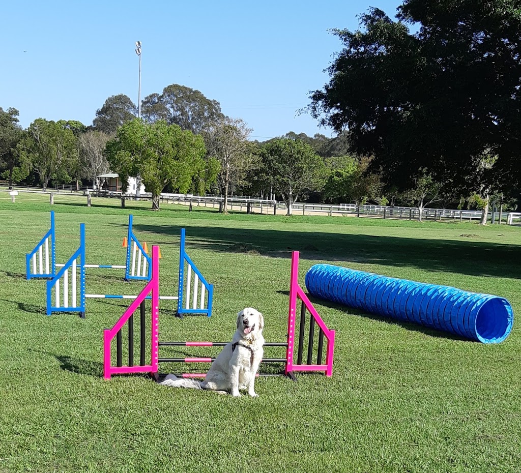 Complete Dog Training | 115 Mudgeeraba Rd, Worongary QLD 4213, Australia | Phone: 0422 402 545