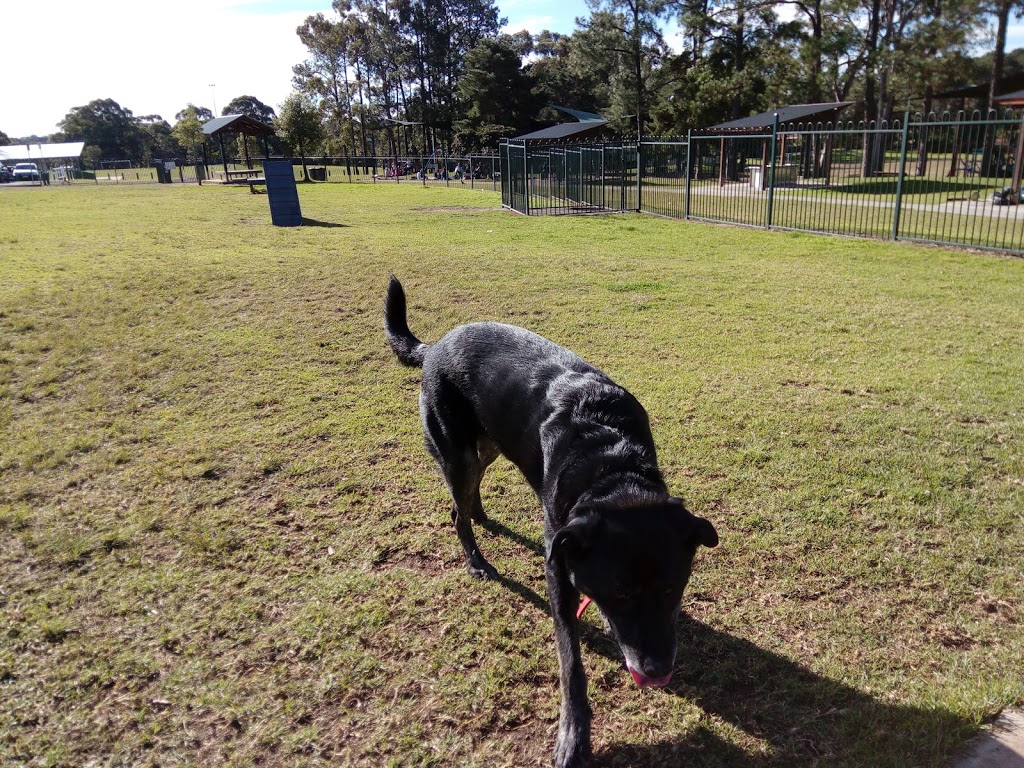 Dog Off-leash Area | 22 Hodgson Cres, Baulkham Hills NSW 2153, Australia