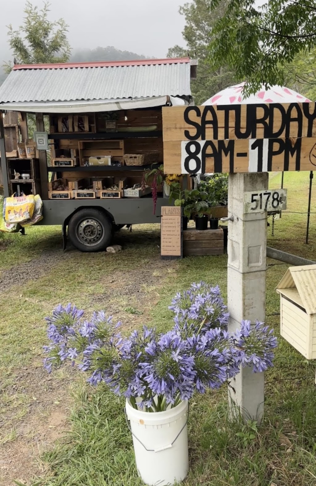 Cawongla Harvest | 5178 Kyogle Rd, Cawongla NSW 2474, Australia | Phone: 0414 830 166