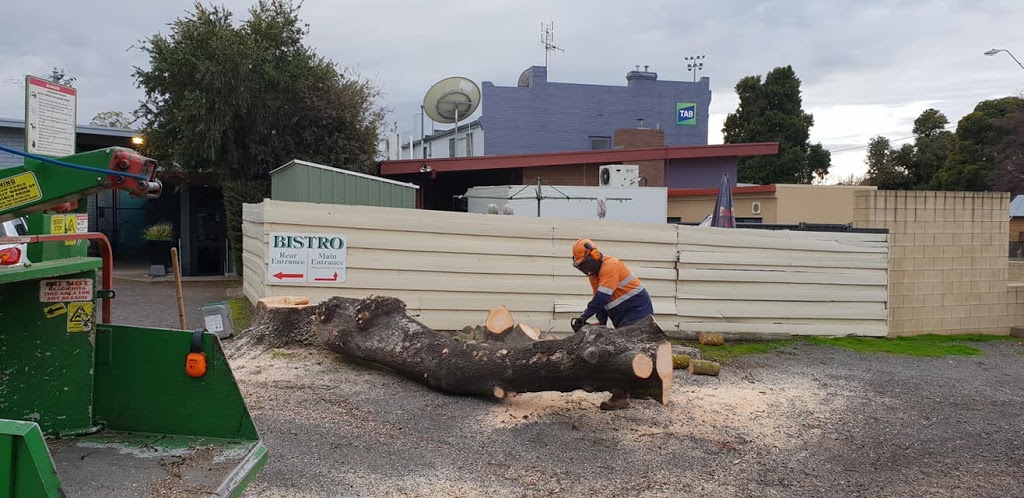 Pyrenees Trees |  | 376 Tullaroop Rd, Carisbrook VIC 3465, Australia | 0409517064 OR +61 409 517 064