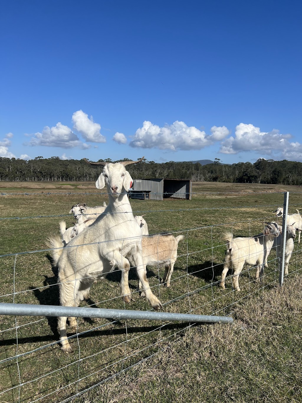 Copper Creek Retreat | 96 Lomas Ln, Nulkaba NSW 2325, Australia | Phone: 0415 065 551