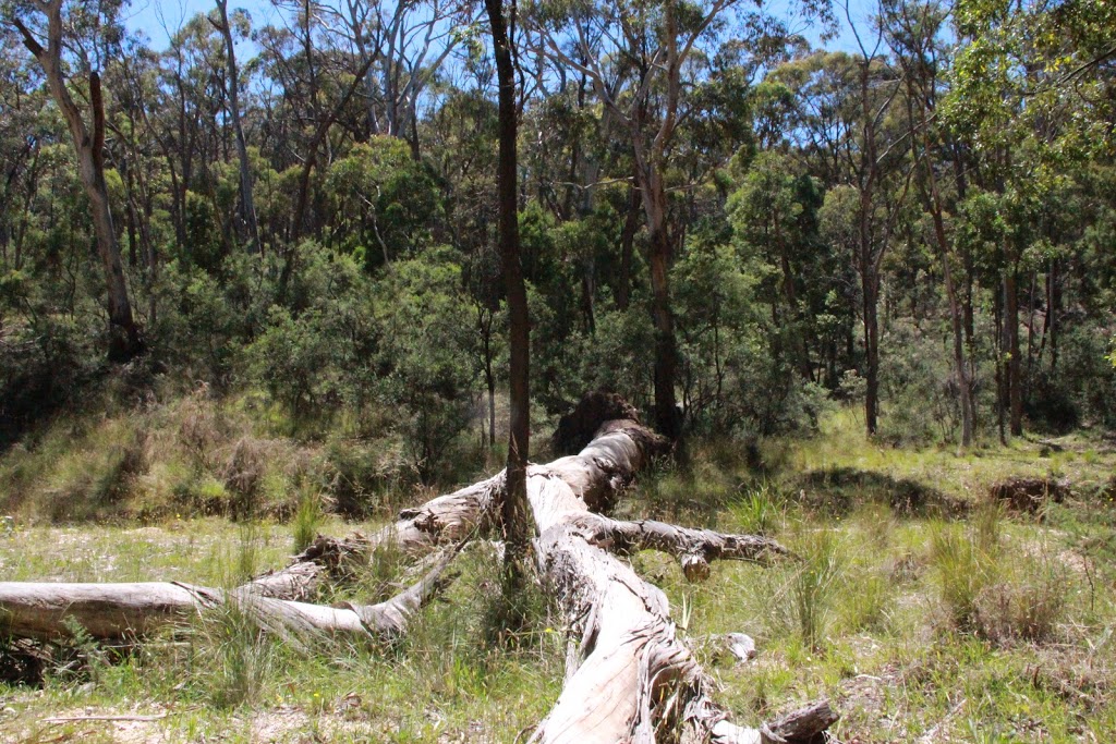 Slaty Creek Picnic Ground no3 | Wrights Gully Rd, Cabbage Tree VIC 3364, Australia