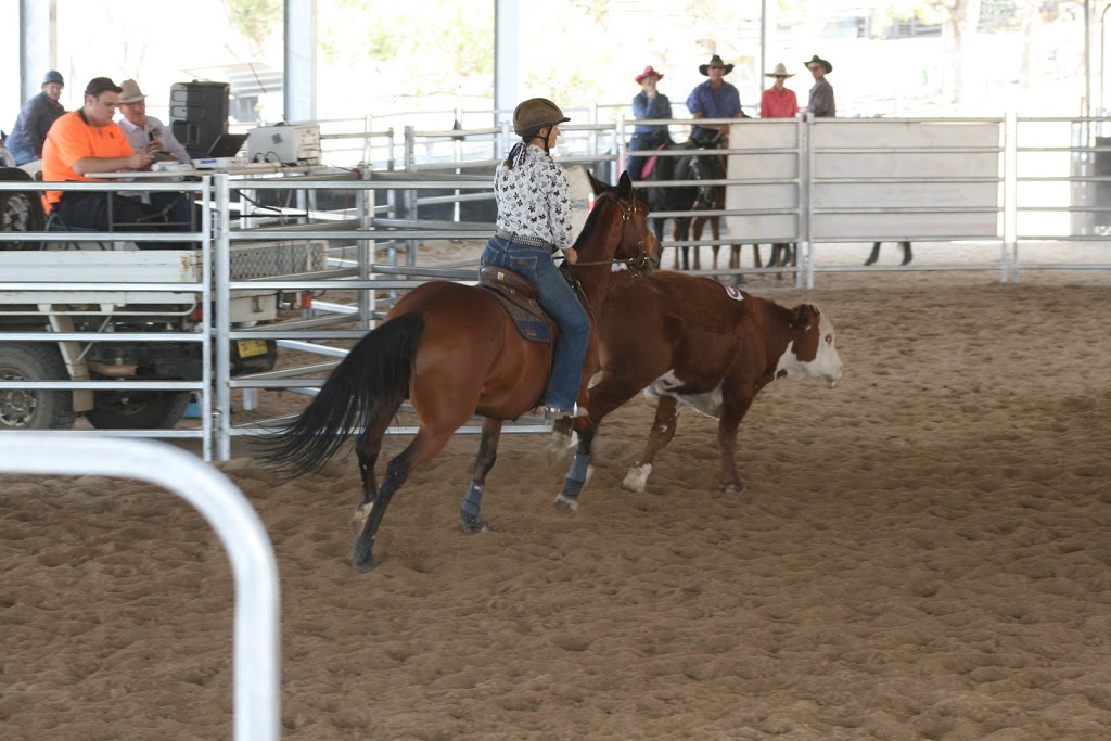 Manilla Team Penning Association inc | 60 River St, Manilla NSW 2346, Australia | Phone: 0447 845 315