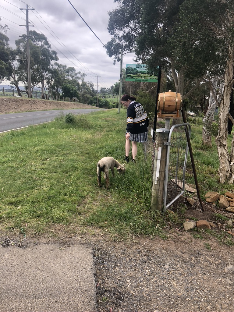 Green Acres on Glenfern | food | 225 Glenfern Rd, Upwey VIC 3158, Australia | 0409522647 OR +61 409 522 647