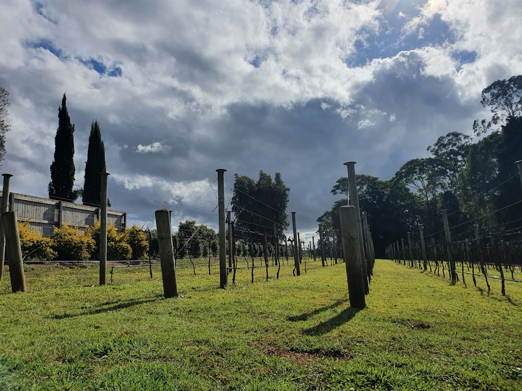 Witches Falls Winery | tourist attraction | 79 Main Western Rd, Tamborine Mountain QLD 4272, Australia | 0755452609 OR +61 7 5545 2609