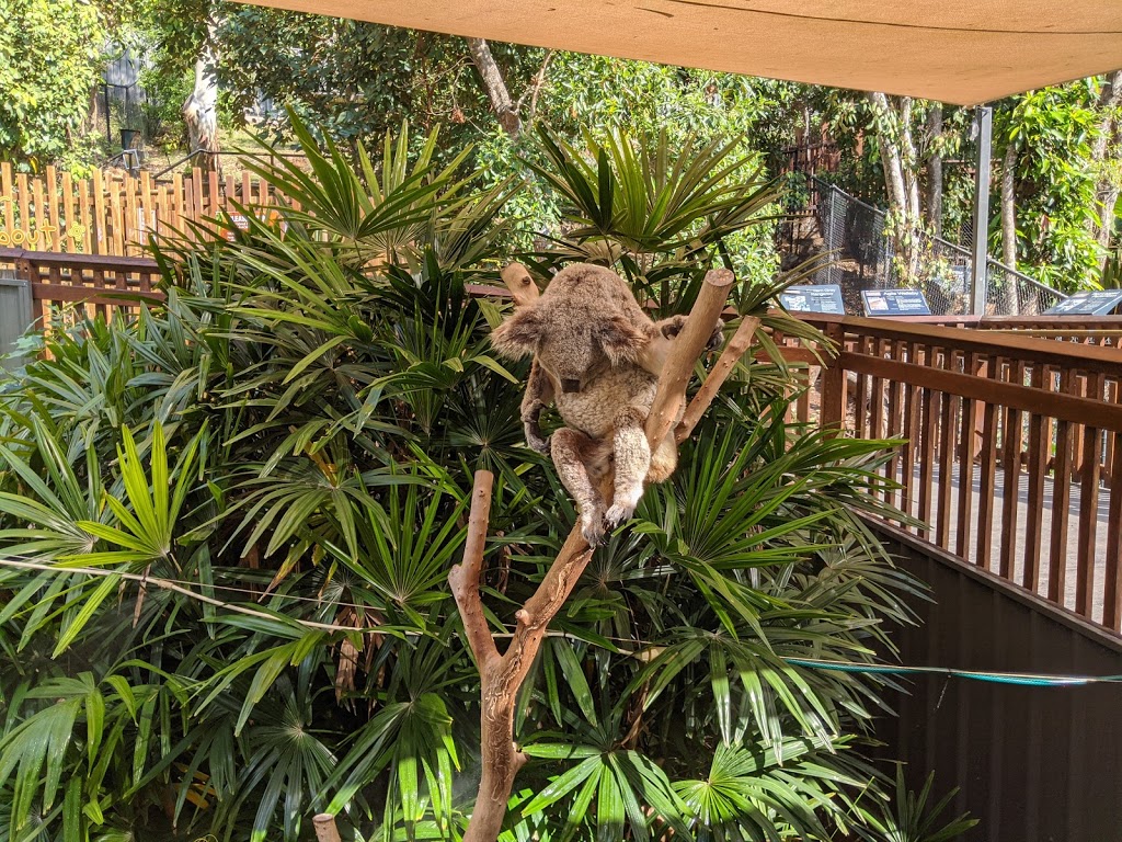 Hamilton Island Wildlife | zoo | 1 Resort Dr, Whitsundays QLD 4803, Australia | 0749468635 OR +61 7 4946 8635