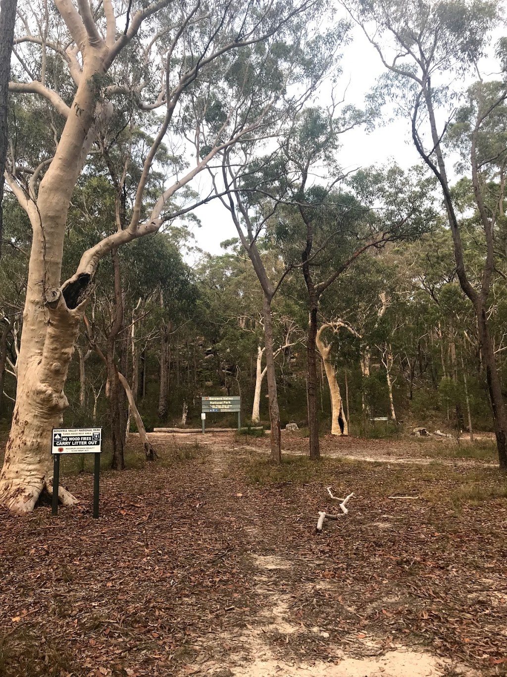 Tunks Ridge Rest Area | campground | Quarry Trail, Dural NSW 2158, Australia