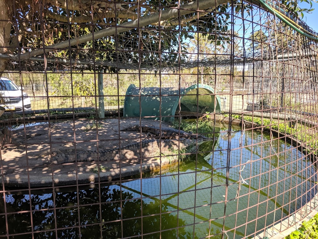 Koorana Crocodile Farm | tourist attraction | 65 Savages Rd, Coowonga QLD 4702, Australia | 0749344749 OR +61 7 4934 4749