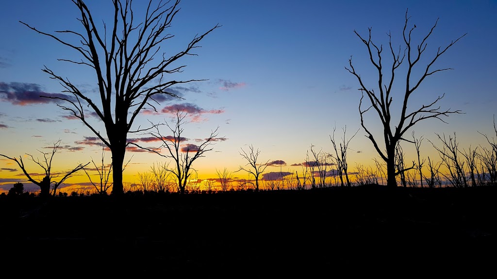 Wetlands Emergency Water Tank | park | Winton N Rd, Winton North VIC 3673, Australia | 0357664462 OR +61 3 5766 4462