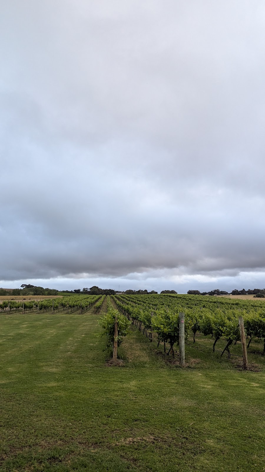 Thirty Acres Distillery | 2270 Portarlington Rd, Bellarine VIC 3223, Australia | Phone: (03) 5259 3310