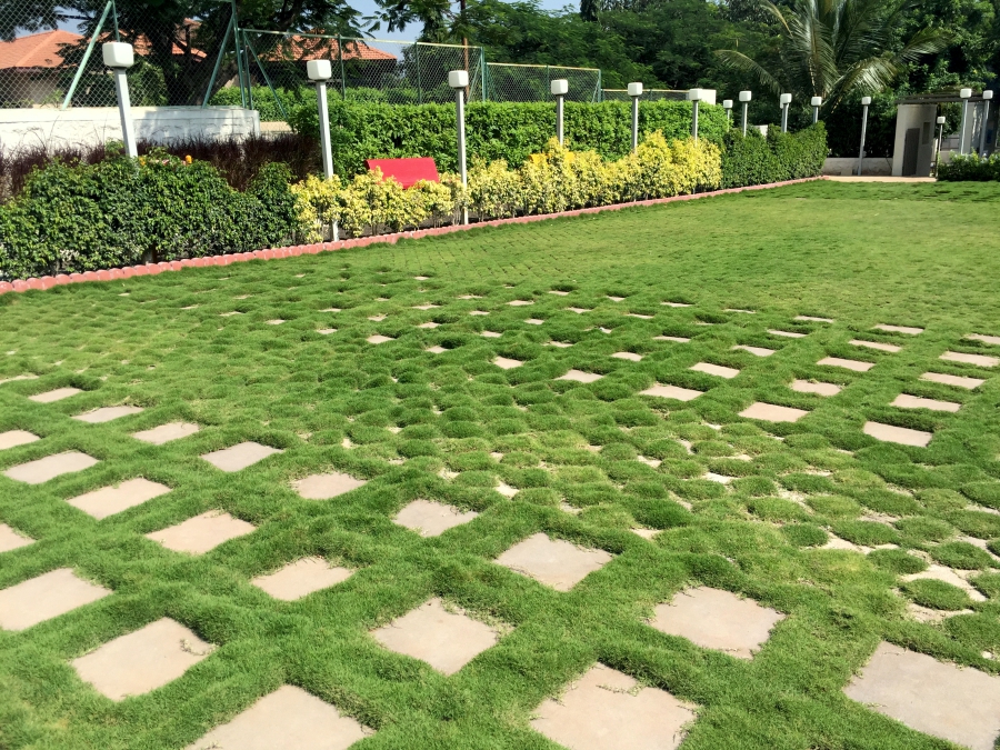Natureconnex Landscaping | 31 Yandanooka St, Austral NSW 2179, Australia | Phone: 0432 488 555