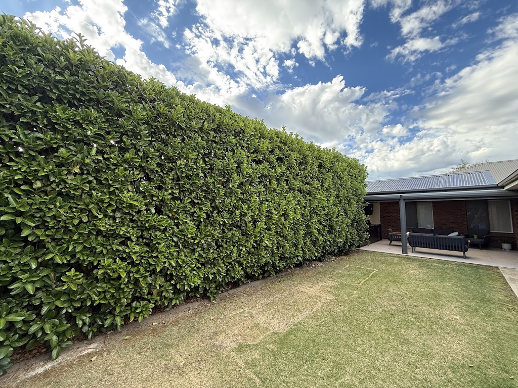 Westside Yard Care - Geelong | 81 Dryden Way, Highton VIC 3216, Australia | Phone: 0439 312 668