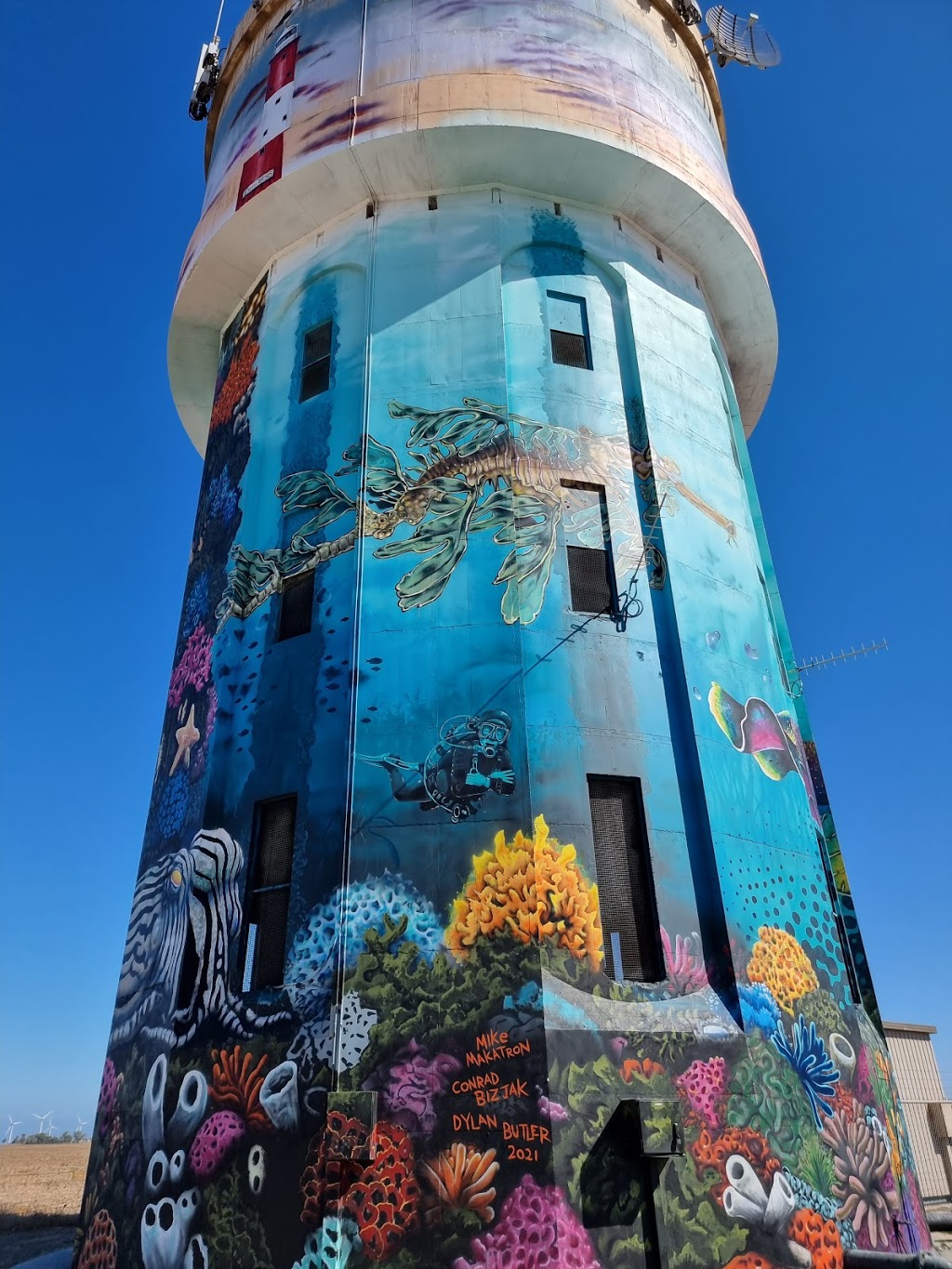 Edithburgh Water Tower | tourist attraction | New Honiton Rd, Edithburgh SA 5583, Australia | 0888320000 OR +61 8 8832 0000