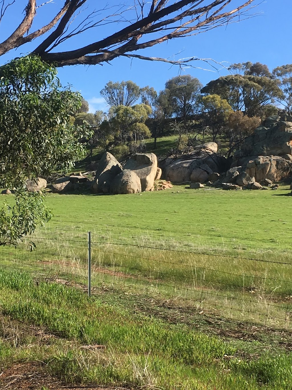 The Giants Boulders | York-Williams Rd, Jelcobine WA 6306, Australia