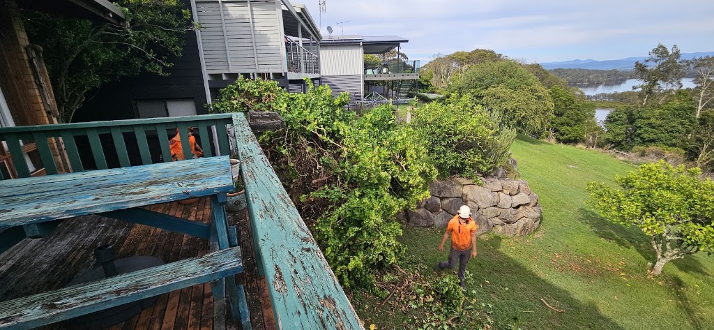 Outlook Tree Solutions | 125 Larrys Mountain Rd, Moruya NSW 2537, Australia | Phone: 0428 118 425