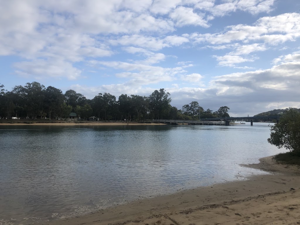 Currumbin Dragons | Currumbin Creek Rd, Currumbin Valley QLD 4223, Australia | Phone: 0412 692 458