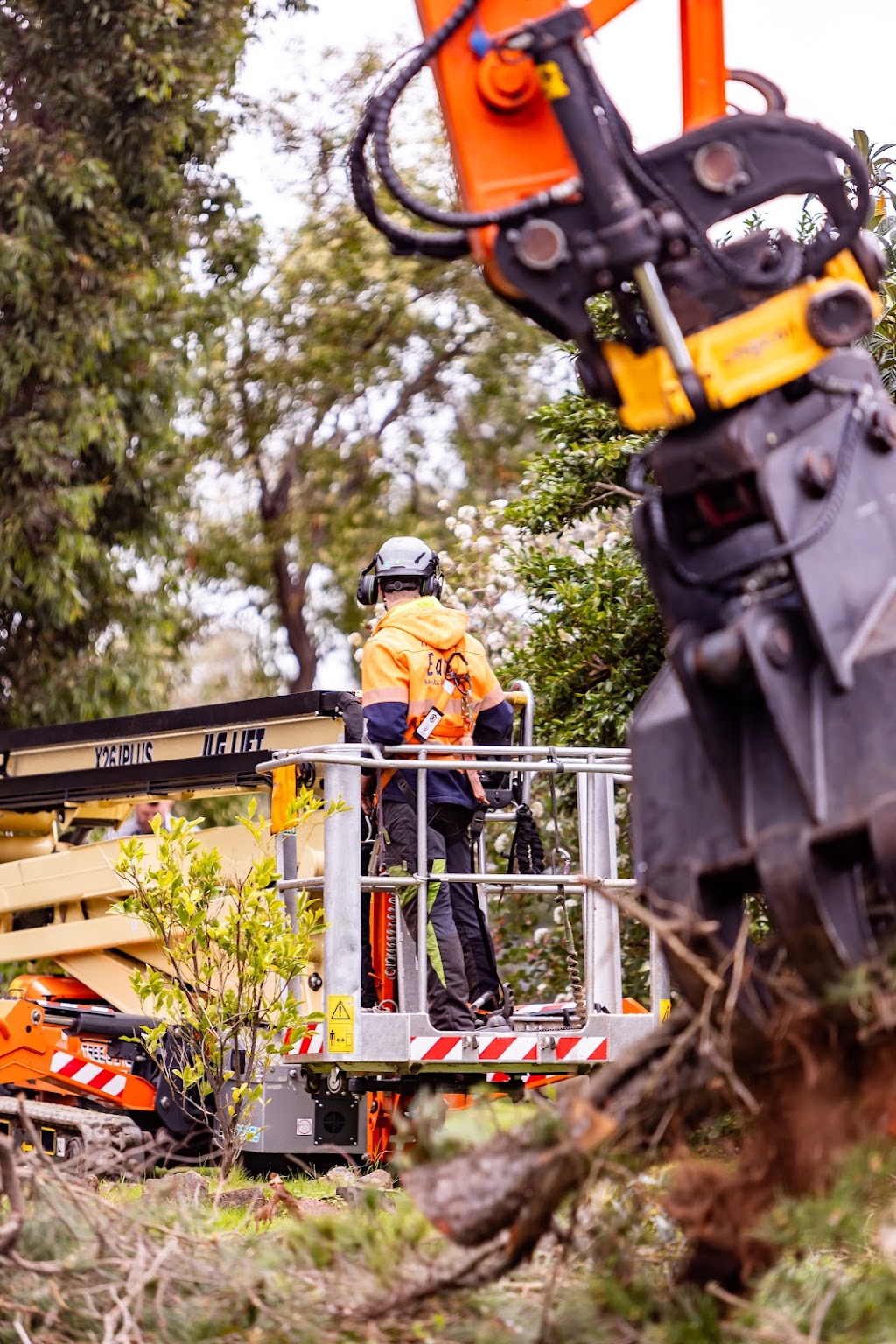 Tree & Stump Eaters | 107 Bungower Rd, Somerville VIC 3912, Australia | Phone: (03) 5978 0181
