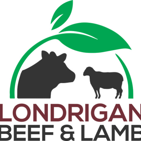Londrigan Finer Foods | store | 130 Rowan St, Wangaratta VIC 3677, Australia | 0357223555 OR +61 3 5722 3555
