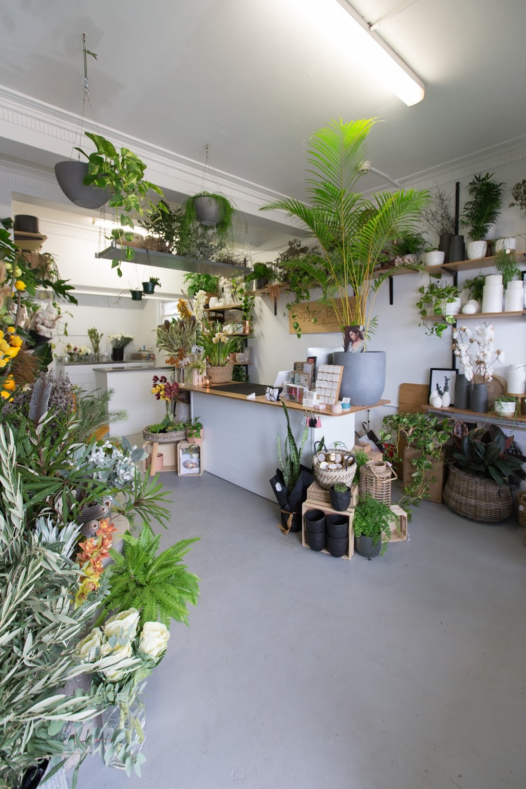 Copper Beech, The Flower Merchant | 70 Wanganella St, Balgowlah NSW 2093, Australia | Phone: (02) 8964 1751