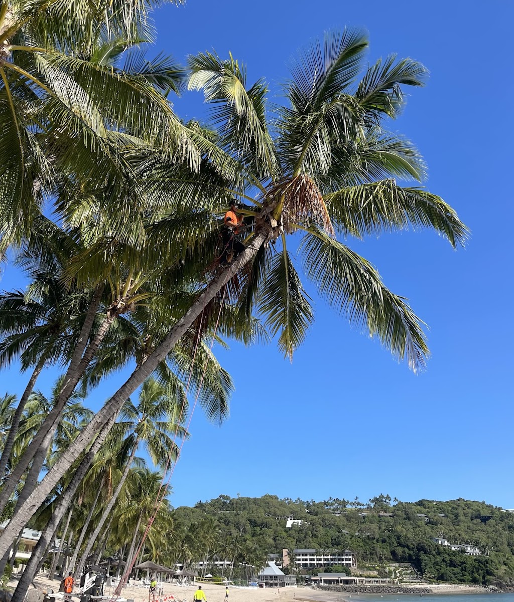 Tall Timbers Tree Solutions | 45 Leumeah Ave, Chain Valley Bay NSW 2259, Australia | Phone: 0424 712 292