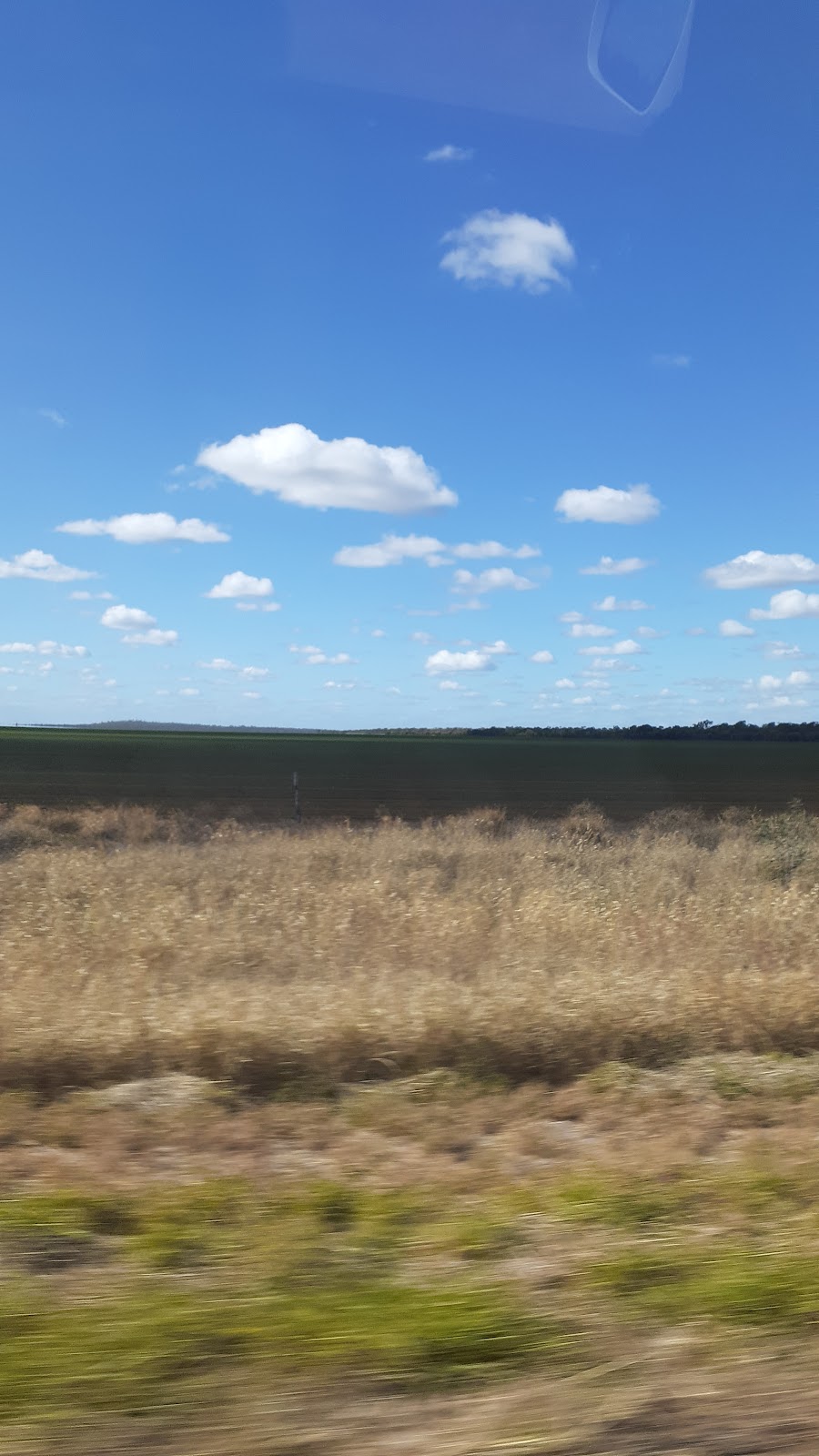 Mazeppa National Park | Frankfield QLD 4721, Australia | Phone: (07) 3170 5470