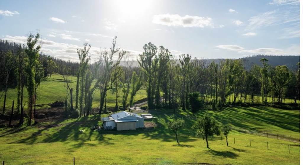 Wombat Hollow Lodge | lodging | 420 Abernathys Rd, Budgong NSW 2577, Australia | 0481300679 OR +61 481 300 679