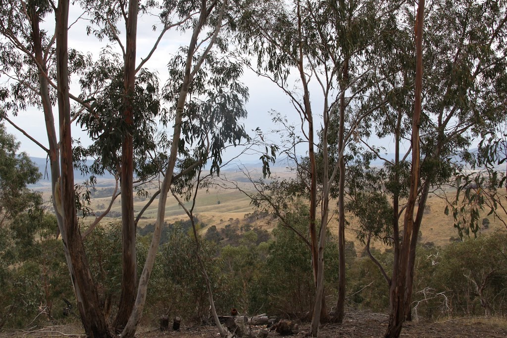 Mt Millan Lookout | park | Omeo VIC 3898, Australia