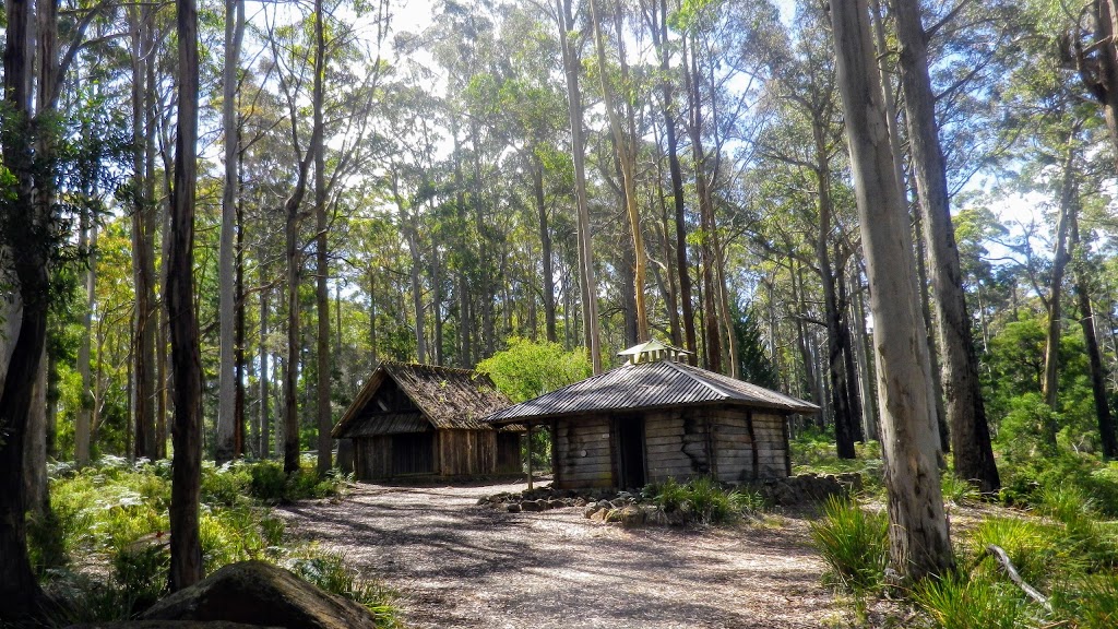 Hollybank Wilderness Adventures | 66 Hollybank Rd, Underwood TAS 7268, Australia | Phone: (03) 6395 1390