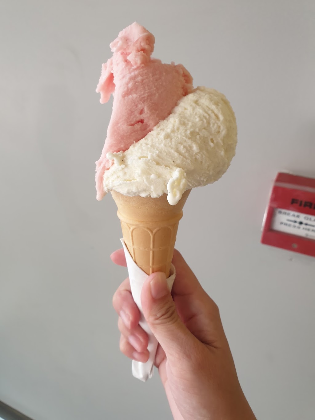 Massimos Gelateria | 75 Hastings St, Noosa Heads QLD 4567, Australia