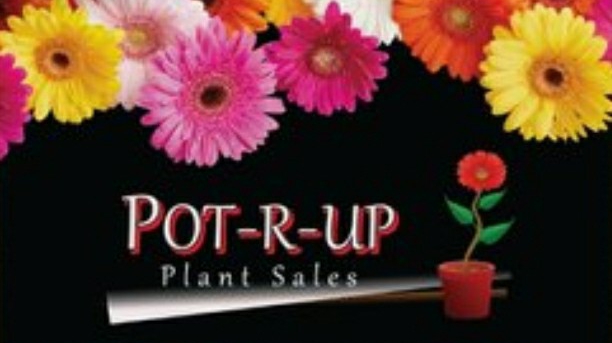 Pot-r-up | 23 Lodge Rd, Hamilton VIC 3300, Australia | Phone: 0411 356 448