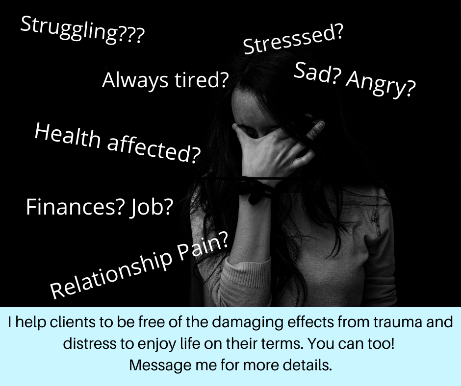 Zest Quest | Kate Cct, Rochedale QLD 4123, Australia | Phone: 0424 146 005