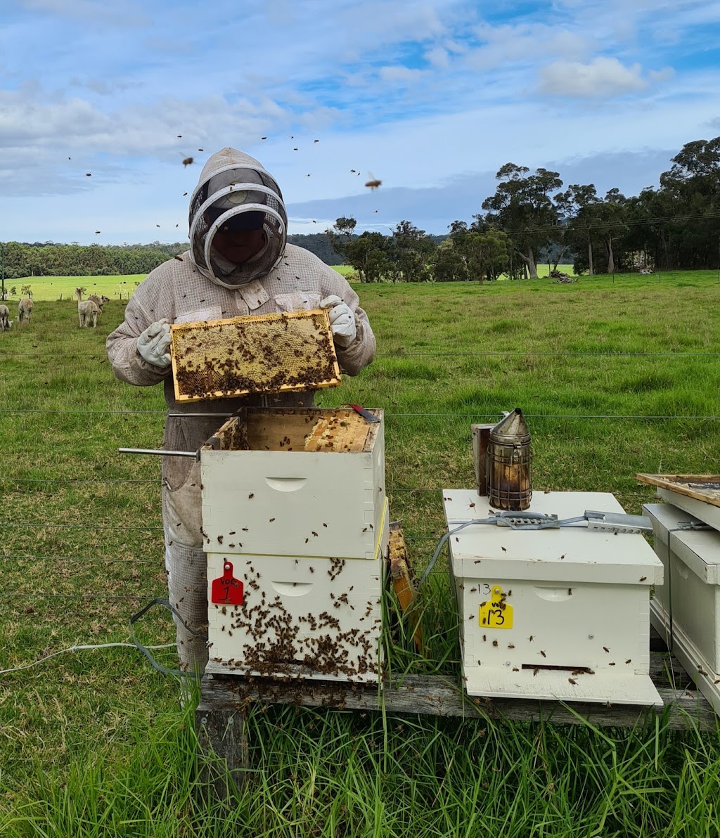 Valley of the Giants Honey |  | 993 Valley of the Giants Rd, Tingledale WA 6333, Australia | 0412251324 OR +61 412 251 324