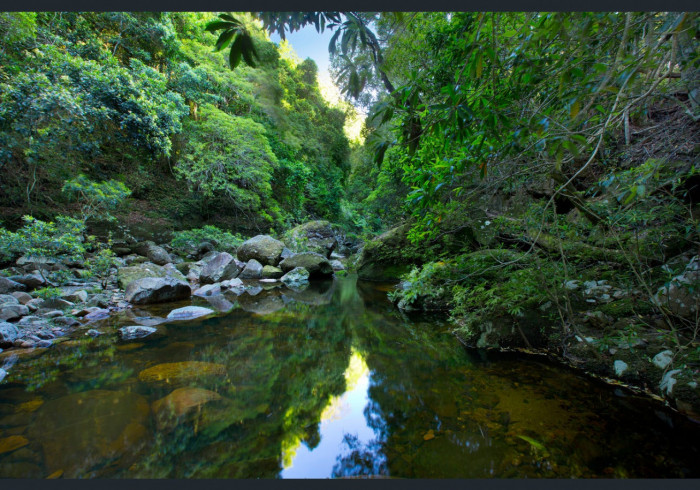 Timberwolf cabin | lodging | 476A Brogers Creek Rd, Brogers Creek NSW 2535, Australia | 0404113850 OR +61 404 113 850