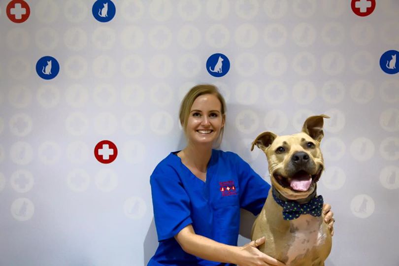Eastside Veterinary Emergency & Specialists | veterinary care | 10 Newcastle St, Rose Bay NSW 2029, Australia | 0293716959 OR +61 2 9371 6959