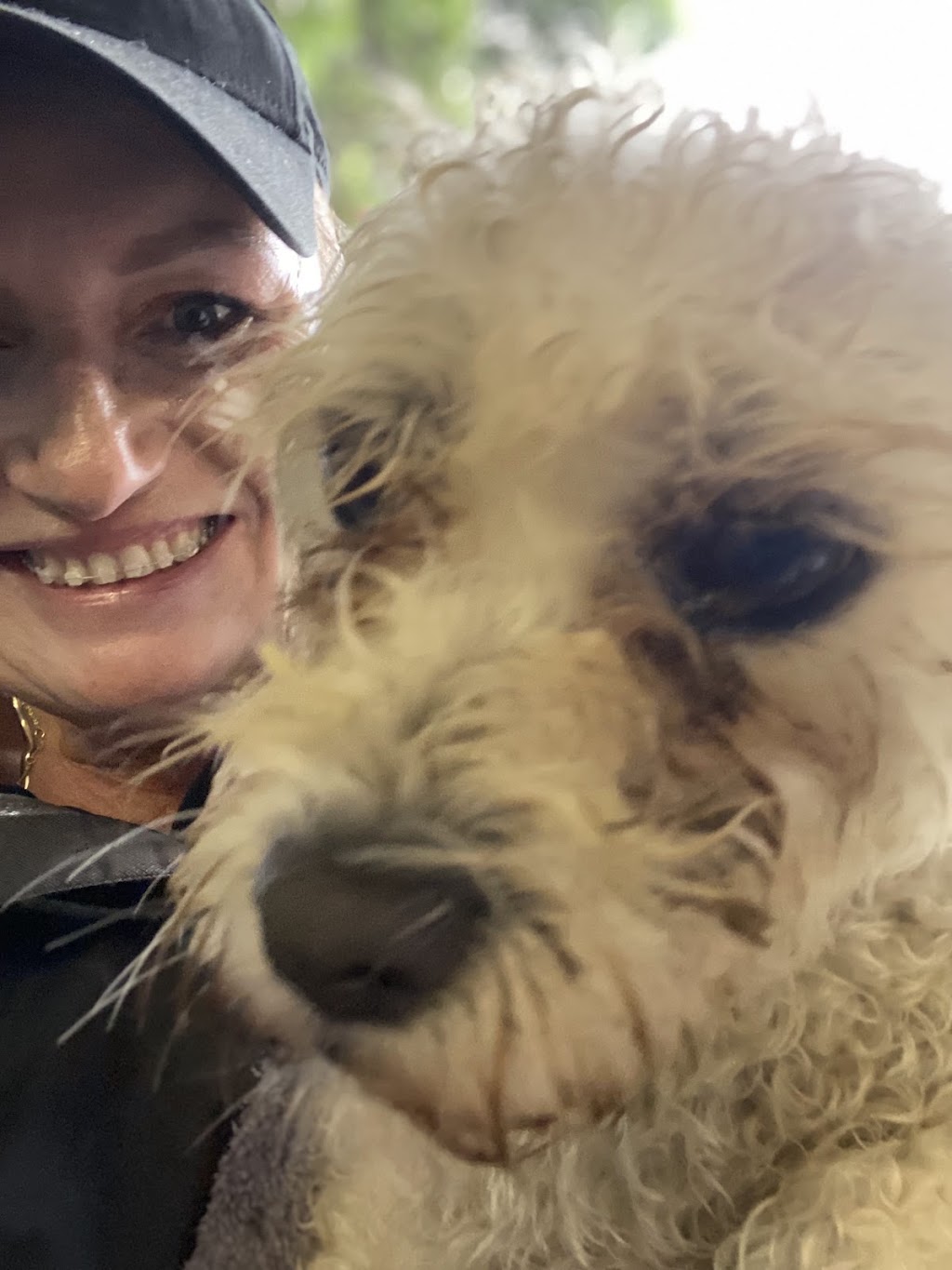 All Breeds | Shop 22/73 Meroo St, Bomaderry NSW 2541, Australia | Phone: 0458 302 831