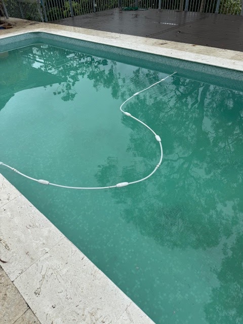 Miss Dolphin Pool Inspections | 26, Kellyville NSW 2155, Australia | Phone: 0424 165 168