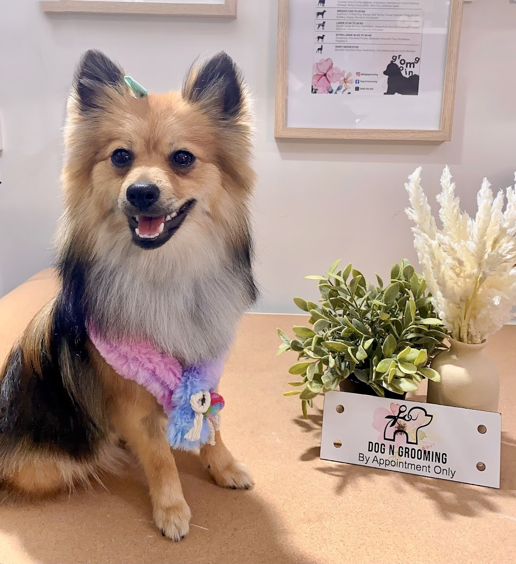 Dog N Grooming | 85 Domain Dr, Batesford VIC 3213, Australia | Phone: 0450 155 603 Dog N Grooming | 85 Domain Dr, Batesford VIC 3213, Australia | Phone: 0450 155 603