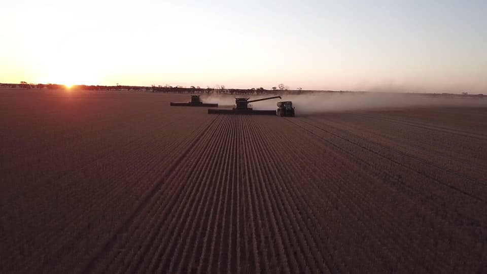 Merredin Farms Pty Ltd |  | 1 Mitchell St, Merredin WA 6415, Australia | 0890387410 OR +61 8 9038 7410