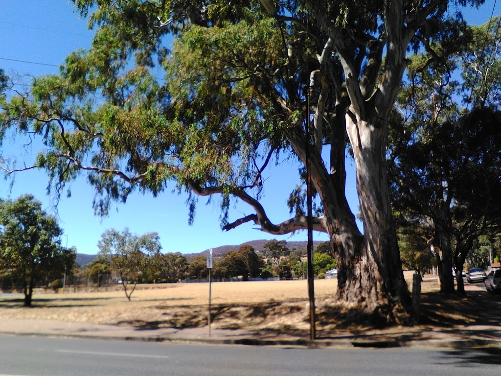 Vine Street Rose Garden | park | Vine St, Magill SA 5072, Australia