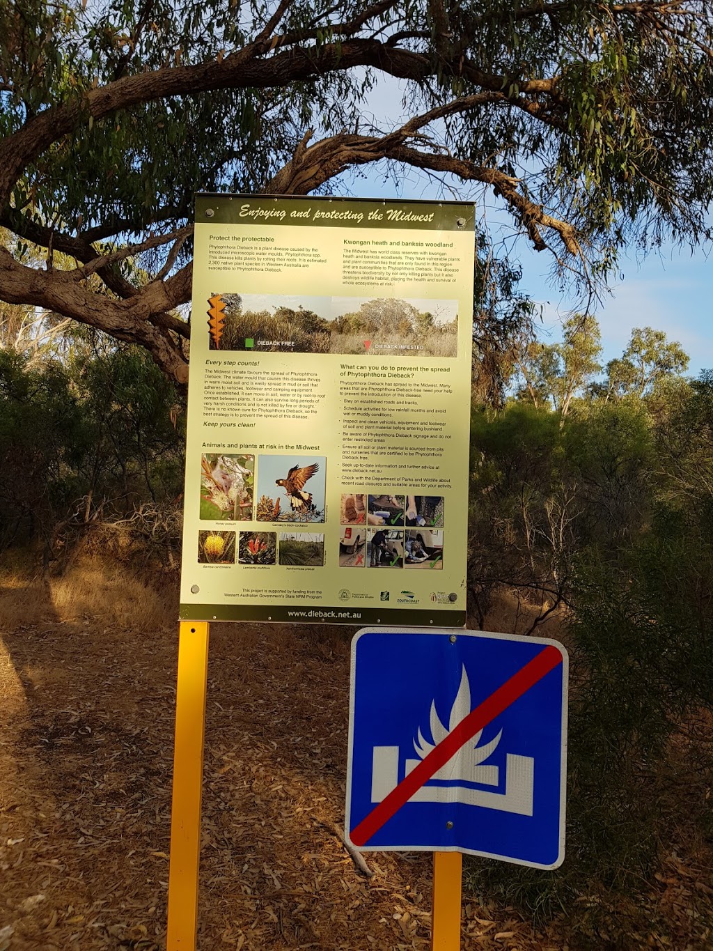 Tuarts Reserve | park | Cervantes Rd, Jurien Bay WA 6516, Australia