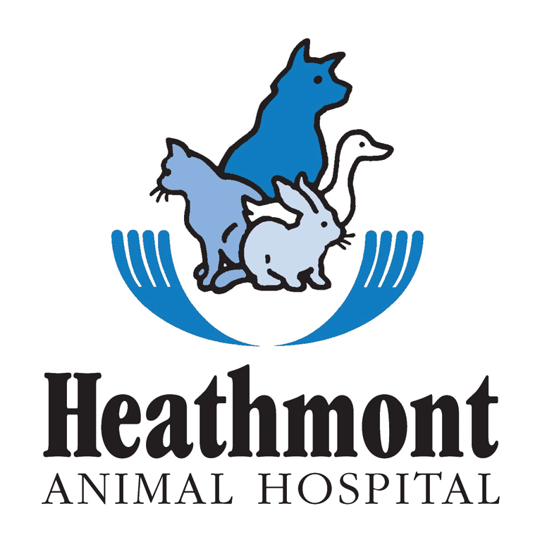 Heathmont Animal Hospital | 1 Dickasons Rd, Heathmont VIC 3135, Australia | Phone: (03) 9729 4466