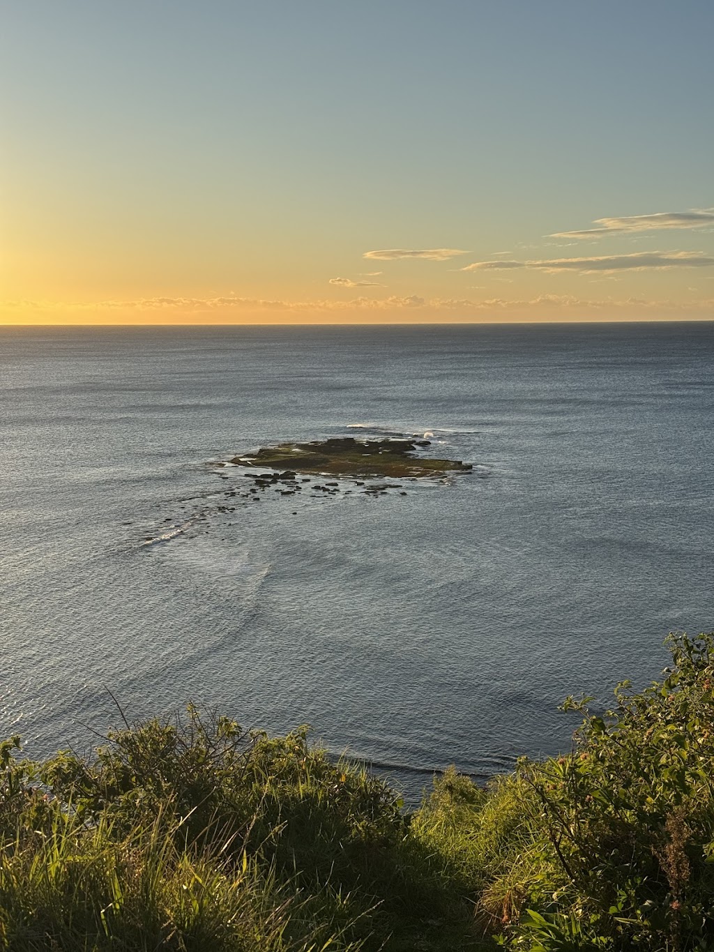 Coastal Media | 13 Melaleuca St, Newport NSW 2106, Australia | Phone: 0412 219 878