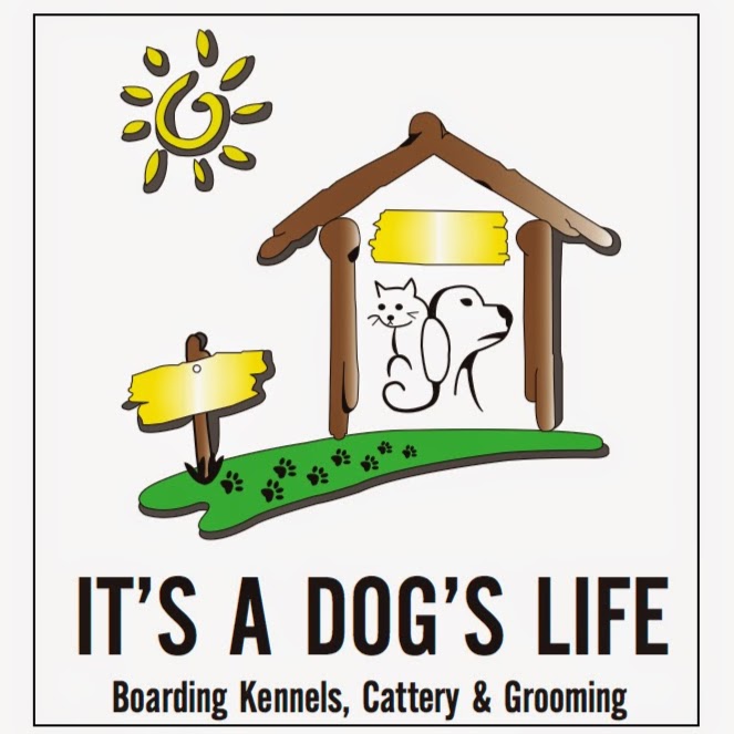 Its A Dog Life Boarding Kennels, Cattery & Grooming | veterinary care | 42 Vere Ct, Plumpton VIC 3335, Australia | 0397471777 OR +61 3 9747 1777