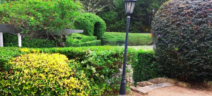 Red Cedar Garden & Property Care | Strongs Rd, Jaspers Brush NSW 2535, Australia | Phone: 0433 188 182