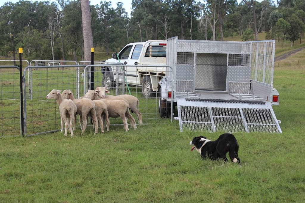 Bobb n Co Working Dog Services (Herding Dog Training) | 7900 Brisbane Valley Highway, Yimbun QLD 4313, Australia | Phone: 0439 812 010