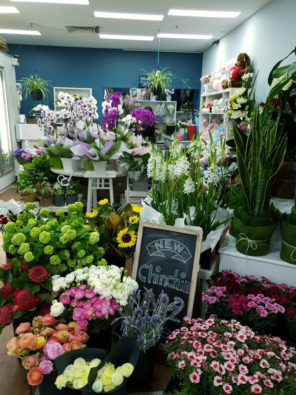 Only You Flowers | florist | Shop36 Riverwood Plaza, 247 Belmore Rd, Riverwood NSW 2210, Australia | 0295338151 OR +61 2 9533 8151
